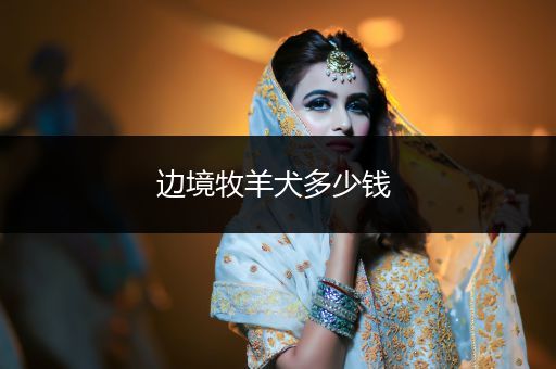 邊境牧羊犬多少錢(qián) 