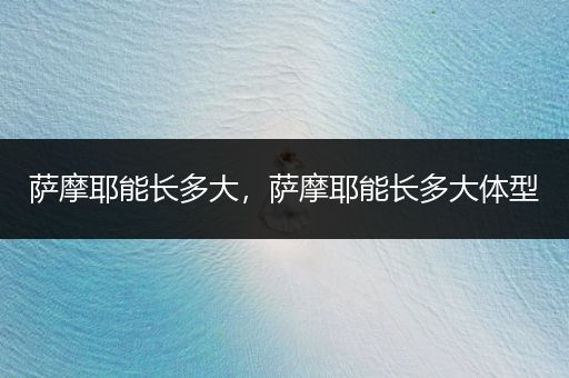 薩摩耶能長(zhǎng)多大，薩摩耶能長(zhǎng)多大體型