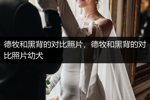 德牧和黑背的對比照片，德牧和黑背的對比照片幼犬