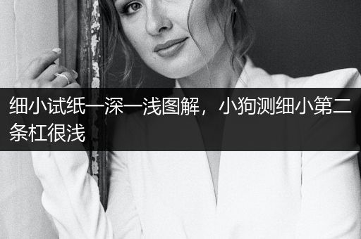 細(xì)小試紙一深一淺圖解，小狗測細(xì)小第二條杠很淺