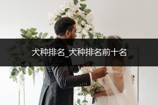 犬種排名_犬種排名前十名