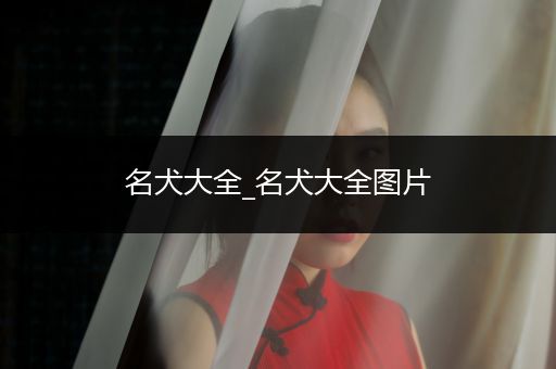 名犬大全_名犬大全圖片