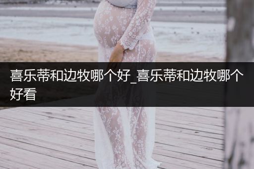 喜樂(lè)蒂和邊牧哪個(gè)好_喜樂(lè)蒂和邊牧哪個(gè)好看