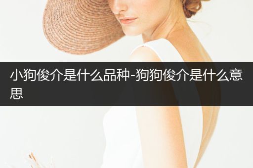 小狗俊介是什么品種-狗狗俊介是什么意思