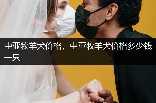 中亞牧羊犬價(jià)格，中亞牧羊犬價(jià)格多少錢一只