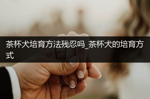 茶杯犬培育方法殘忍嗎_茶杯犬的培育方式