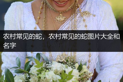 農村常見的蛇，農村常見的蛇圖片大全和名字