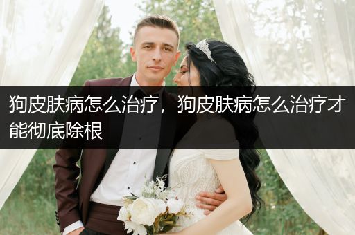 狗皮膚病怎么治療，狗皮膚病怎么治療才能徹底除根