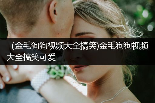 （金毛狗狗視頻大全搞笑)金毛狗狗視頻大全搞笑可愛