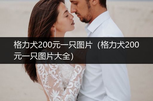 格力犬200元一只圖片（格力犬200元一只圖片大全）