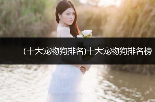 （十大寵物狗排名)十大寵物狗排名榜
