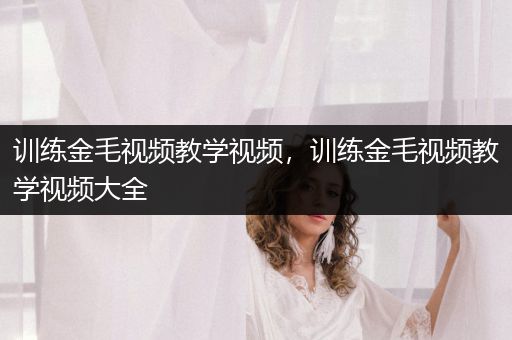 訓(xùn)練金毛視頻教學(xué)視頻，訓(xùn)練金毛視頻教學(xué)視頻大全