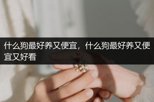 什么狗最好養(yǎng)又便宜，什么狗最好養(yǎng)又便宜又好看