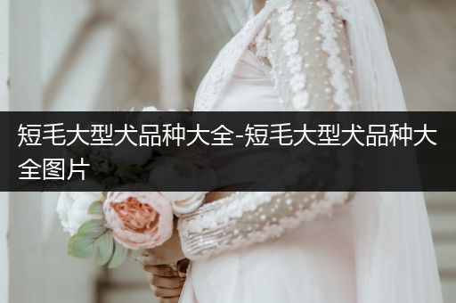 短毛大型犬品種大全-短毛大型犬品種大全圖片