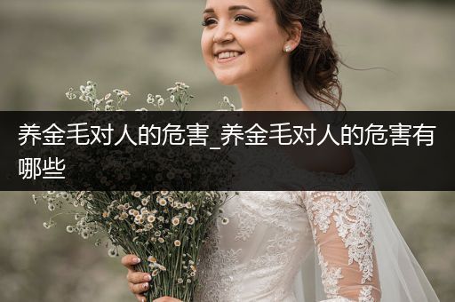 養(yǎng)金毛對(duì)人的危害_養(yǎng)金毛對(duì)人的危害有哪些