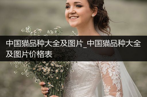 中國貓品種大全及圖片_中國貓品種大全及圖片價格表