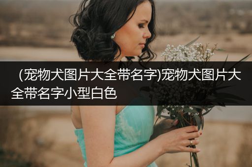 （寵物犬圖片大全帶名字)寵物犬圖片大全帶名字小型白色