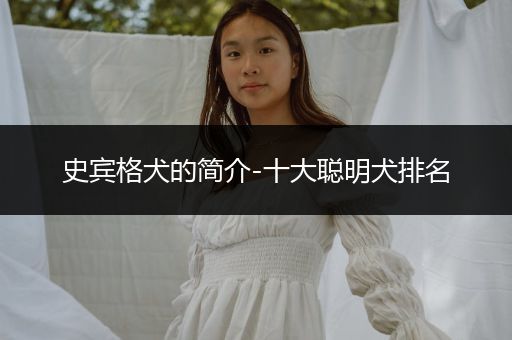 史賓格犬的簡介-十大聰明犬排名