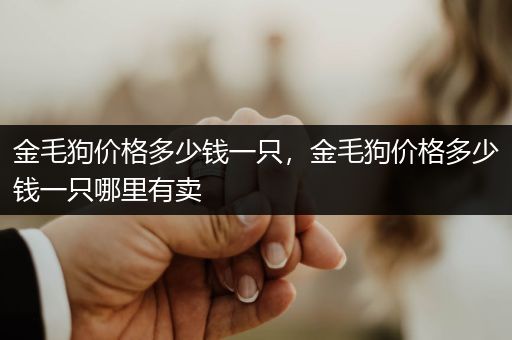 金毛狗價(jià)格多少錢(qián)一只，金毛狗價(jià)格多少錢(qián)一只哪里有賣(mài)