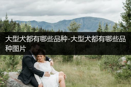 大型犬都有哪些品種-大型犬都有哪些品種圖片