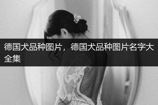 德國犬品種圖片,德國犬品種圖片名字大全集