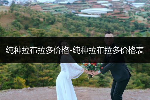 純種拉布拉多價(jià)格-純種拉布拉多價(jià)格表