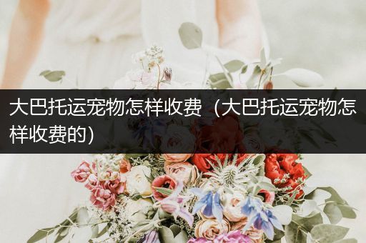 大巴托運(yùn)寵物怎樣收費(fèi)（大巴托運(yùn)寵物怎樣收費(fèi)的）