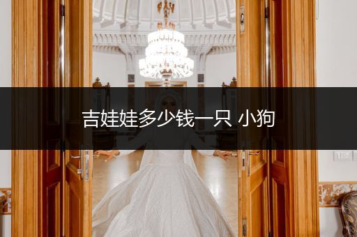 吉娃娃多少錢一只 小狗