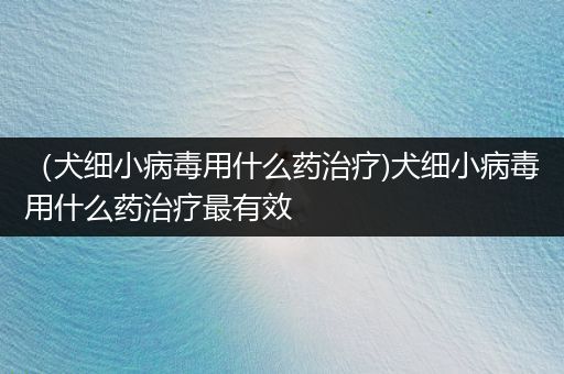 （犬細(xì)小病毒用什么藥治療)犬細(xì)小病毒用什么藥治療最有效