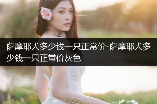 薩摩耶犬多少錢一只正常價(jià)-薩摩耶犬多少錢一只正常價(jià)灰色