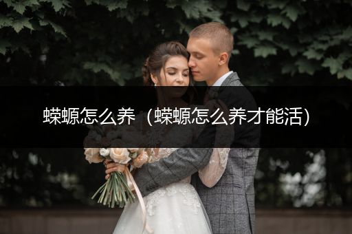 蠑螈怎么養(yǎng)（蠑螈怎么養(yǎng)才能活）