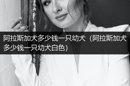 阿拉斯加犬多少錢一只幼犬（阿拉斯加犬多少錢一只幼犬白色）