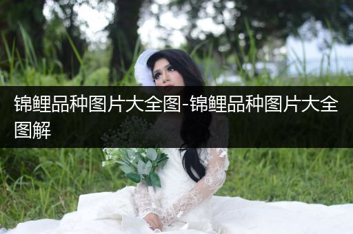 錦鯉品種圖片大全圖-錦鯉品種圖片大全圖解