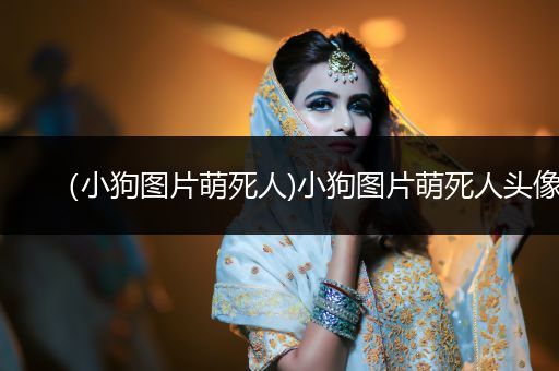 （小狗圖片萌死人)小狗圖片萌死人頭像