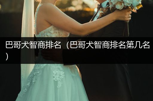 巴哥犬智商排名（巴哥犬智商排名第幾名）