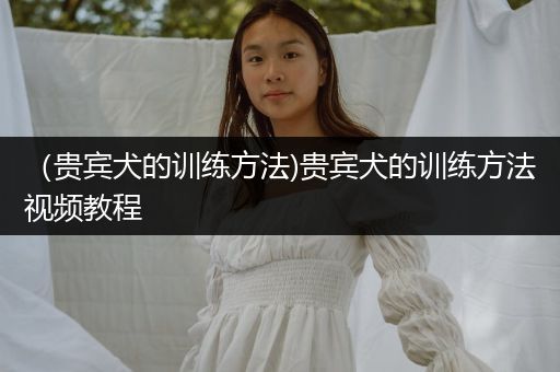 （貴賓犬的訓(xùn)練方法)貴賓犬的訓(xùn)練方法視頻教程