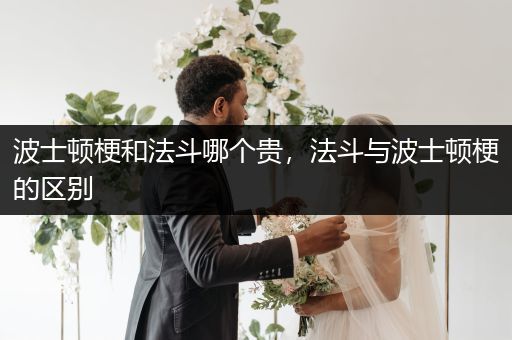 波士頓梗和法斗哪個貴，法斗與波士頓梗的區(qū)別
