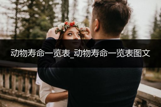 動(dòng)物壽命一覽表_動(dòng)物壽命一覽表圖文