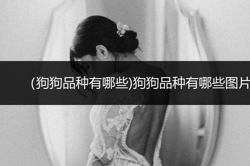 （狗狗品種有哪些)狗狗品種有哪些圖片
