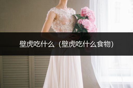 壁虎吃什么（壁虎吃什么食物）