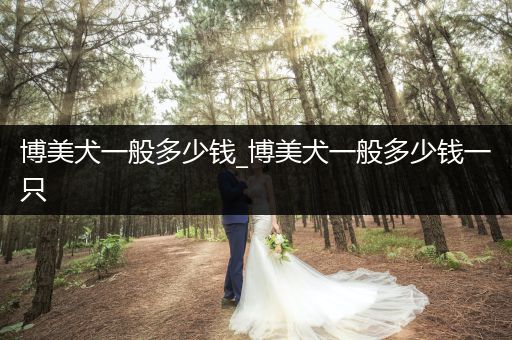 博美犬一般多少錢_博美犬一般多少錢一只