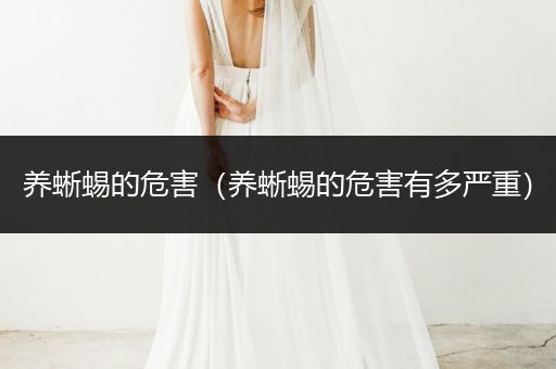 養(yǎng)蜥蜴的危害（養(yǎng)蜥蜴的危害有多嚴重）