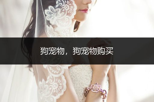 狗寵物，狗寵物購買
