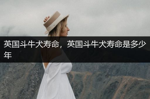 英國斗牛犬壽命，英國斗牛犬壽命是多少年