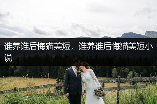誰養(yǎng)誰后悔貓美短，誰養(yǎng)誰后悔貓美短小說