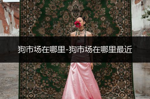 狗市場在哪里-狗市場在哪里最近