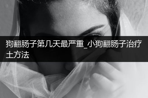 狗翻腸子第幾天最嚴重_小狗翻腸子治療土方法