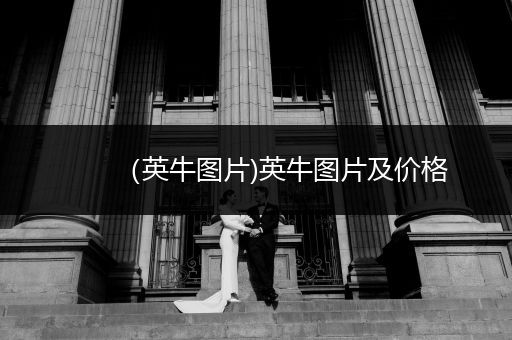 （英牛圖片)英牛圖片及價格