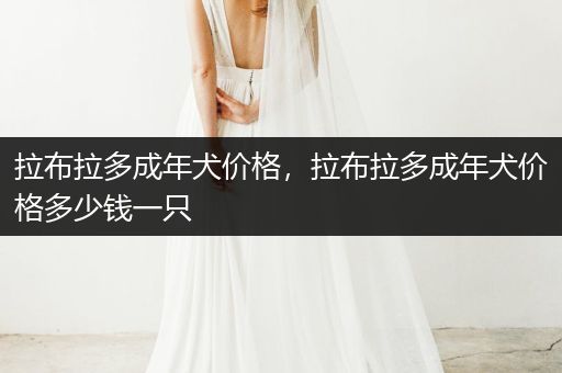 拉布拉多成年犬價格，拉布拉多成年犬價格多少錢一只