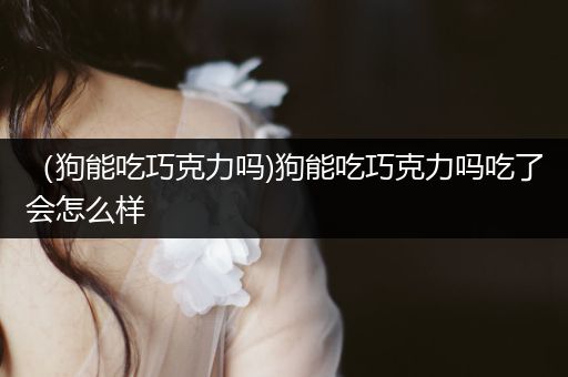 （狗能吃巧克力嗎)狗能吃巧克力嗎吃了會怎么樣